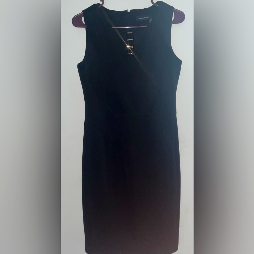 Ivanka Trump dress - Picture 4 of 8